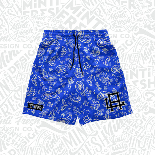 Blue Paisley Mesh Shorts