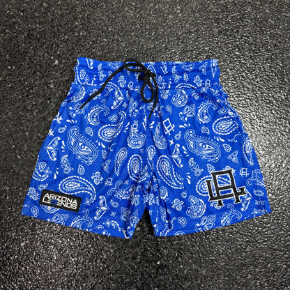 Blue Paisley Mesh Shorts