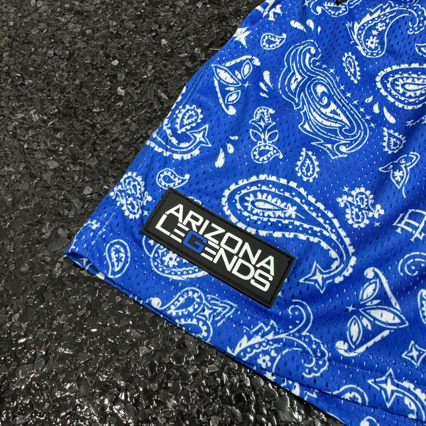 Blue Paisley Mesh Shorts