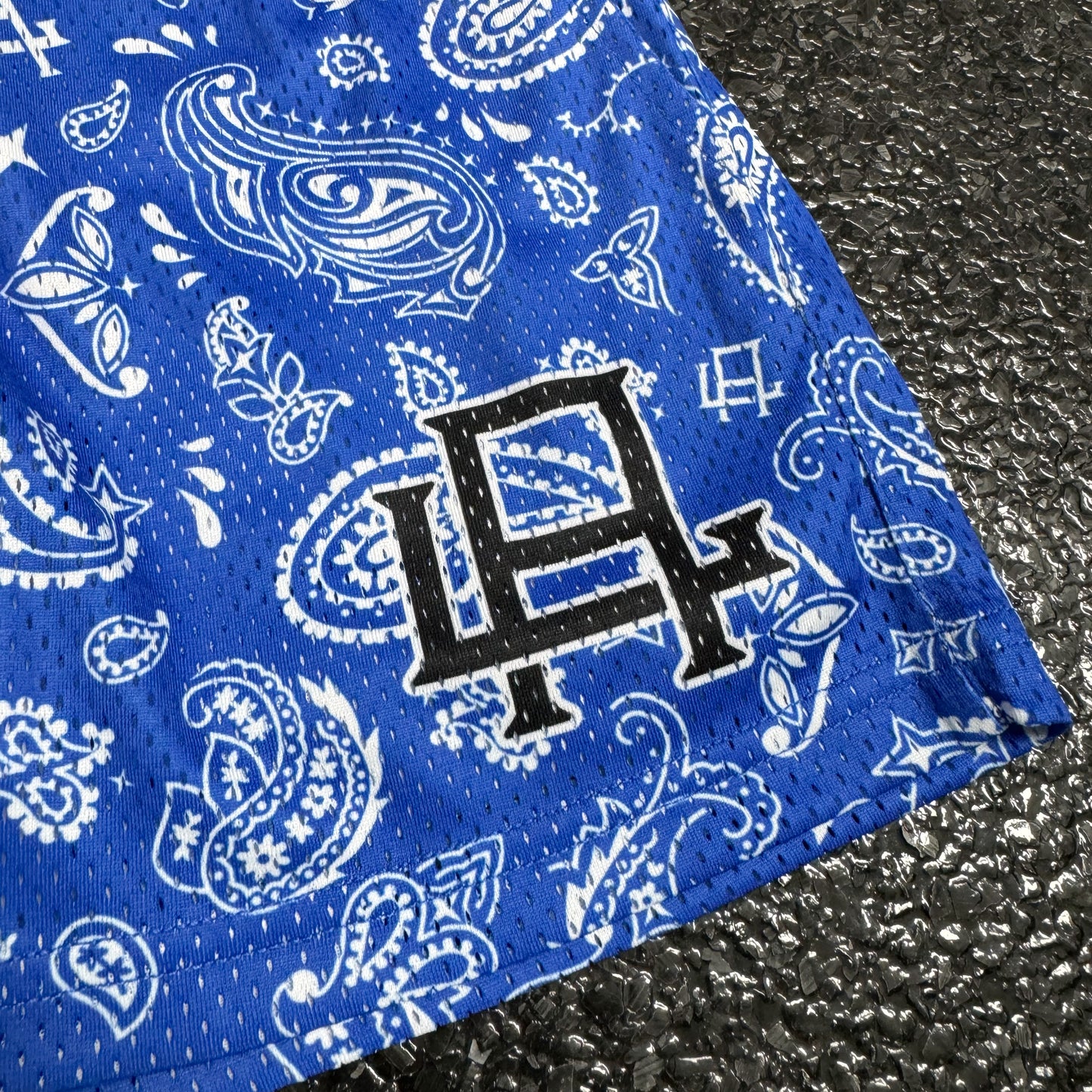 Blue Paisley Mesh Shorts