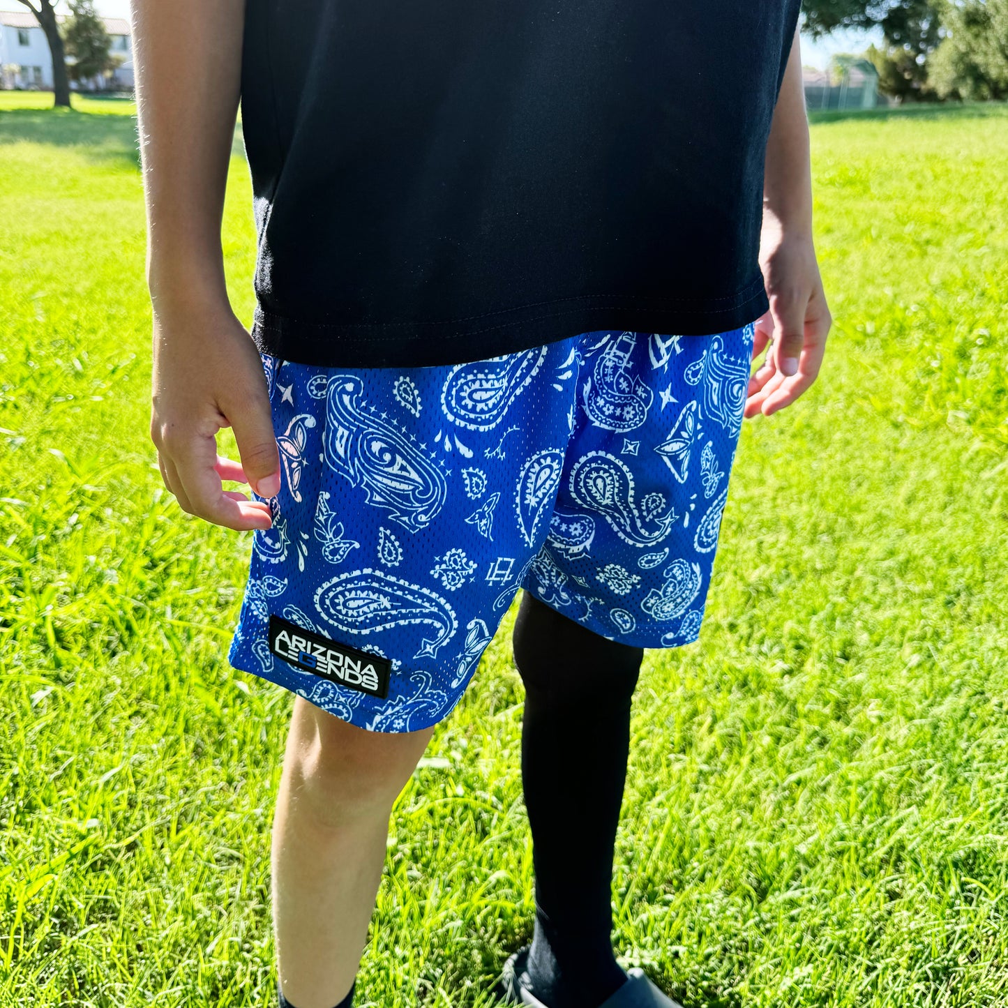 Blue Paisley Mesh Shorts