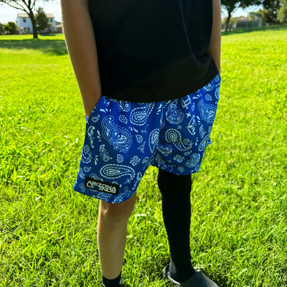 Blue Paisley Mesh Shorts